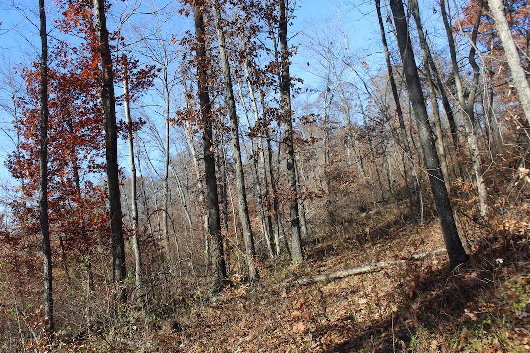 0 Ford Rd Mount Zanesville, OH 43701 - Photo 29 of 35