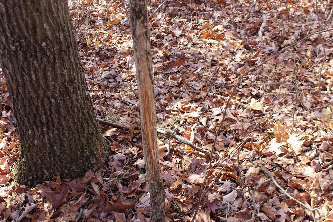0 Ford Rd Mount Zanesville, OH 43701 - Photo 30 of 35
