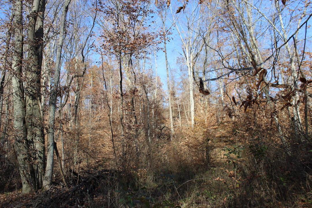 0 Ford Rd Mount Zanesville, OH 43701 - Photo 31 of 35