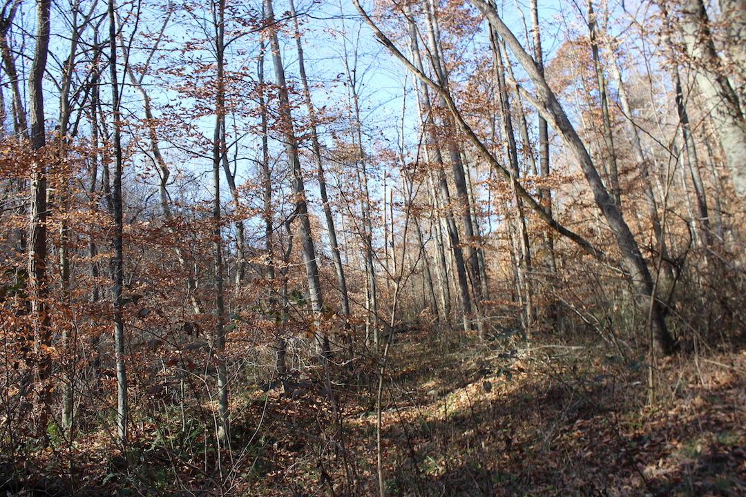 0 Ford Rd Mount Zanesville, OH 43701 - Photo 32 of 35