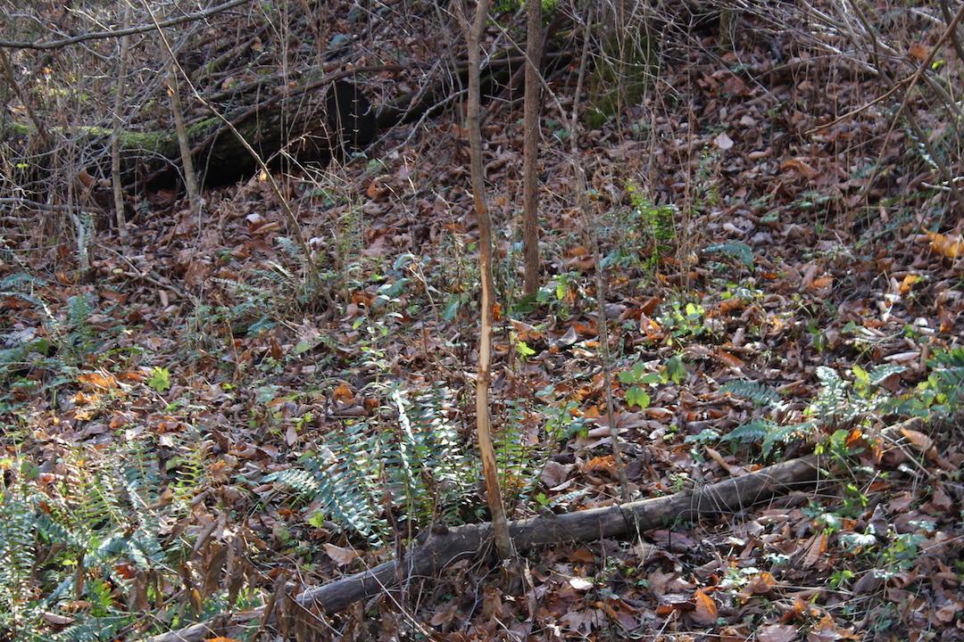 0 Ford Rd Mount Zanesville, OH 43701 - Photo 33 of 35