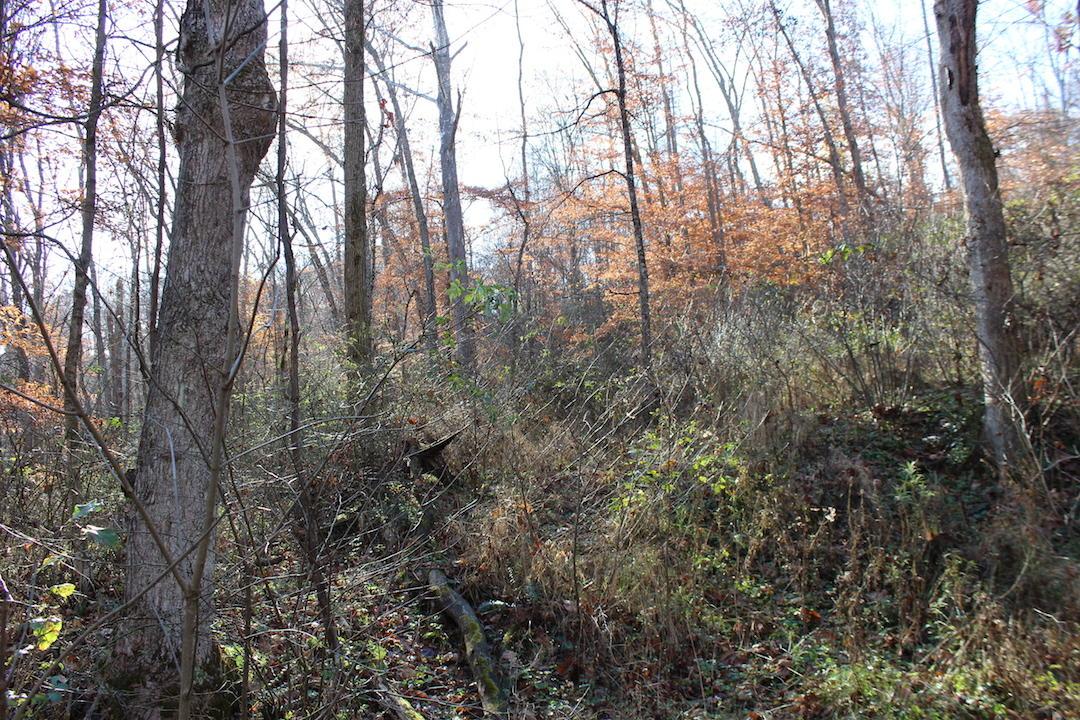 0 Ford Rd Mount Zanesville, OH 43701 - Photo 34 of 35