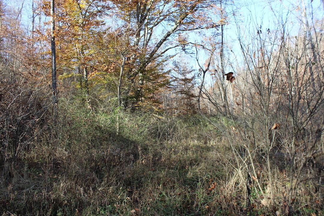 0 Ford Rd Mount Zanesville, OH 43701 - Photo 35 of 35