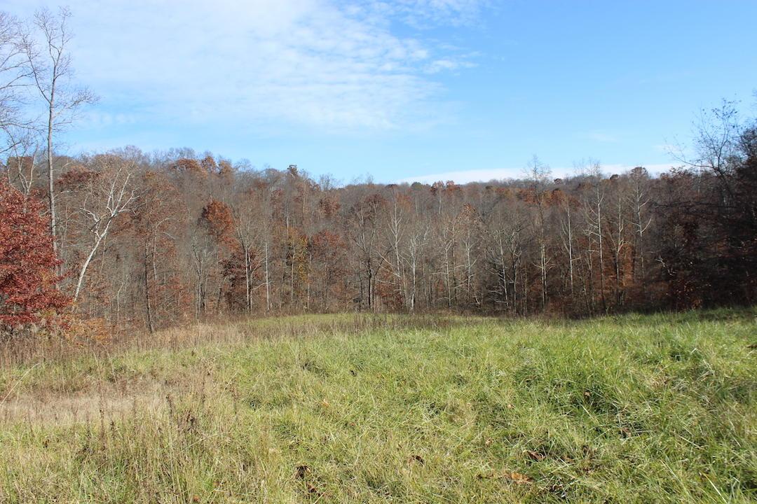 0 Ford Rd Mount Zanesville, OH 43701 - Photo 4 of 35