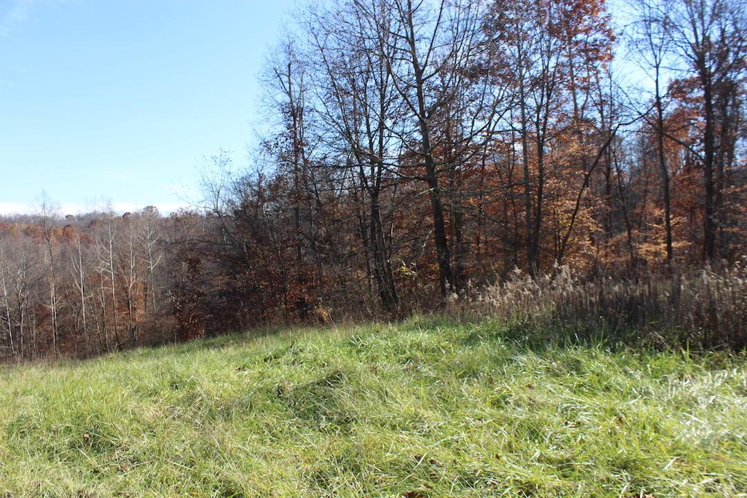0 Ford Rd Mount Zanesville, OH 43701 - Photo 5 of 35