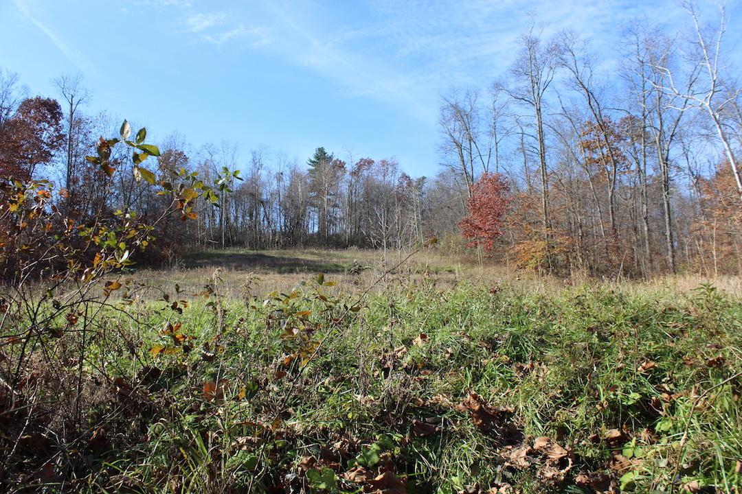 0 Ford Rd Mount Zanesville, OH 43701 - Photo 7 of 35