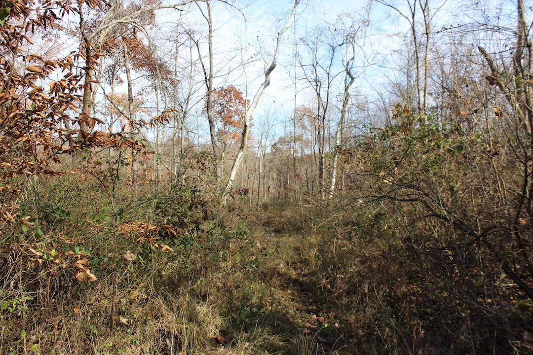 0 Ford Rd Mount Zanesville, OH 43701 - Photo 9 of 35