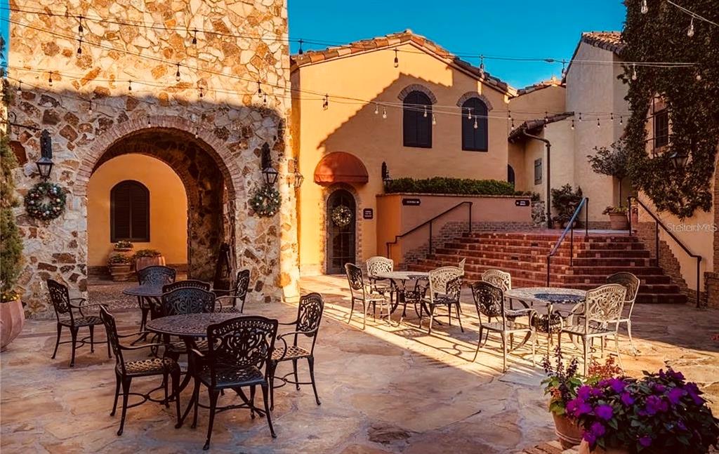 16131 Volterra Point Bella Collina, FL 34756 - Photo 50 of 52 a view of a patio with table and chairs and potted plants