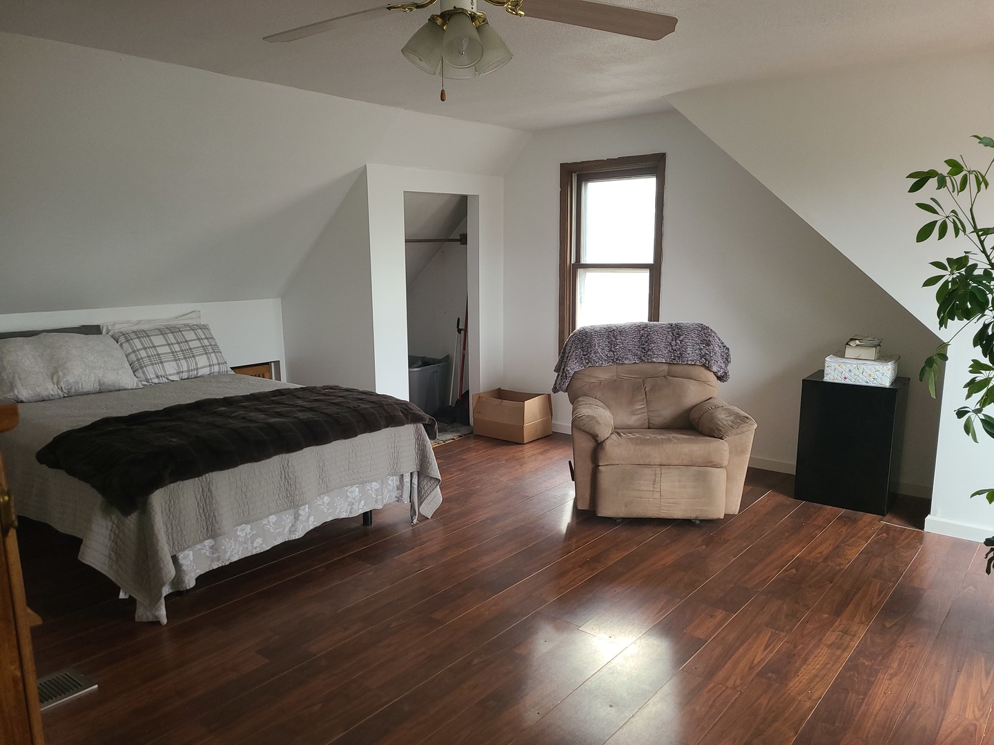 6806 Maple Court Bridgeview, IL 60455 - Photo 21 of 26 a bedroom with a bed and a potted plant