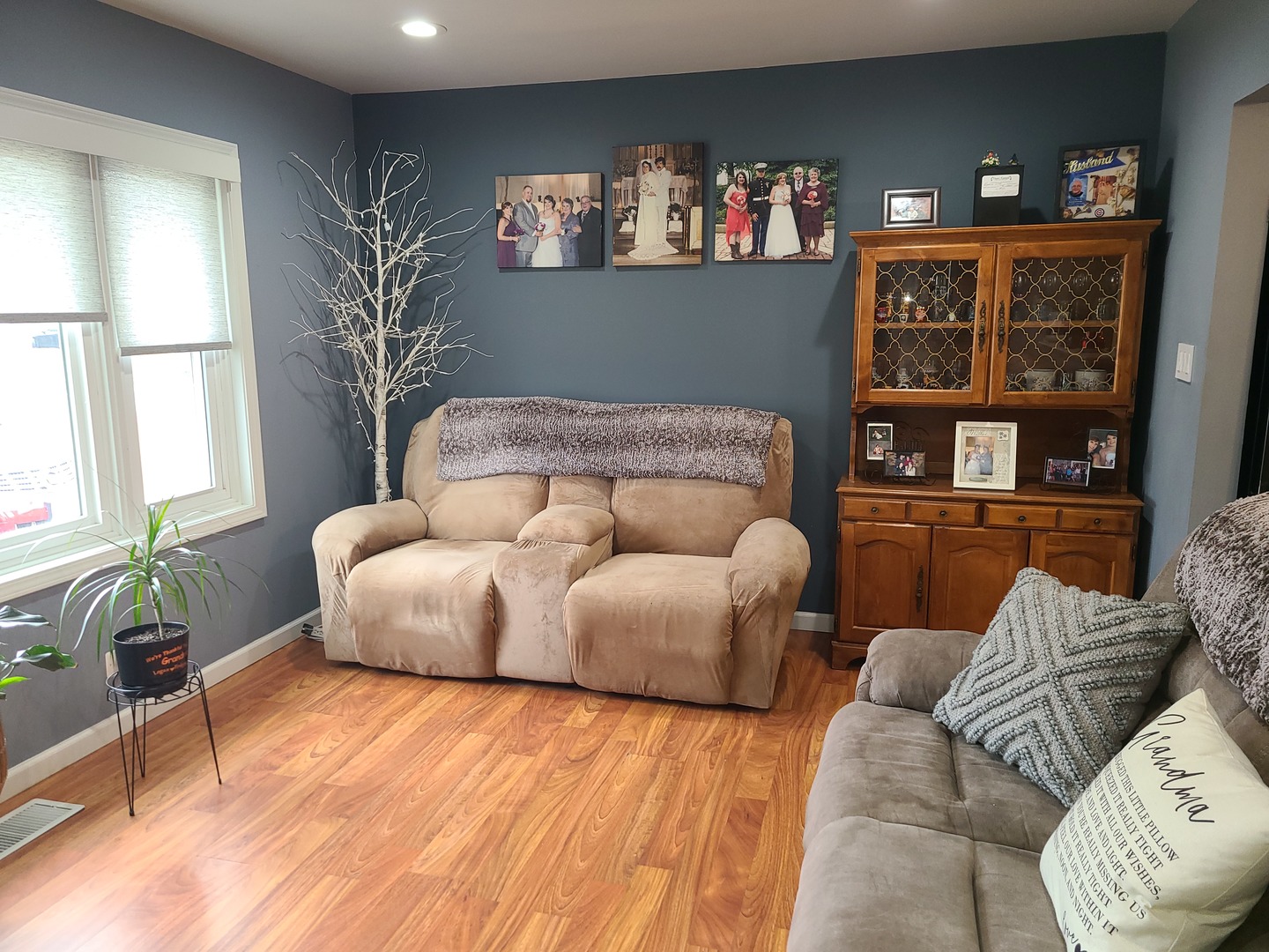 6806 Maple Court Bridgeview, IL 60455 - Photo 8 of 26 a living room with furniture and a potted plant