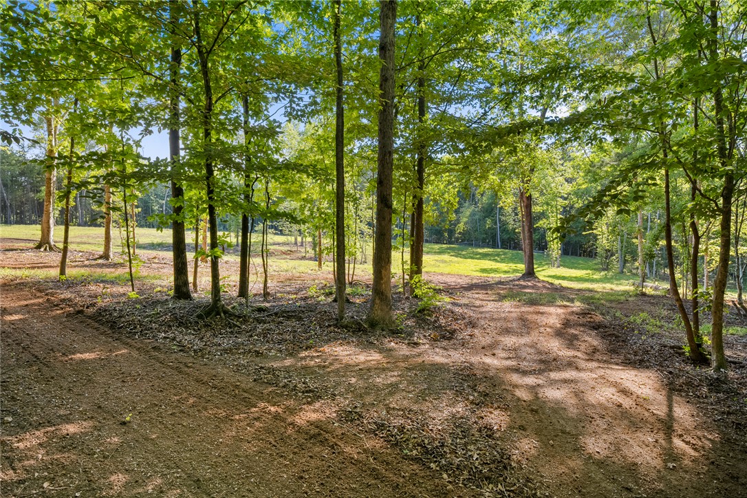 75 Hidden Acres Trail Pelzer, SC 29669 - Photo 12 of 32