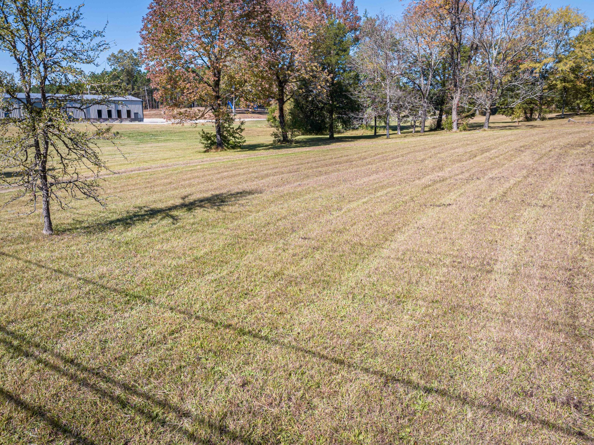 0 Main Street West Parsons, TN 38363 - Photo 14 of 16 a view of road with trees
