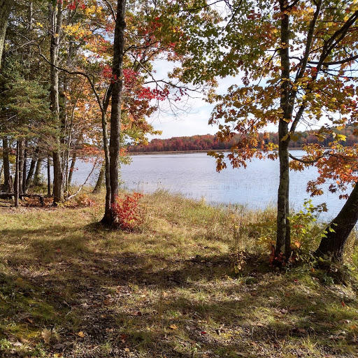 43 Ringwood Road Palmyra, ME 04965 - Photo 1 of 11 Douglas Pond shorefront