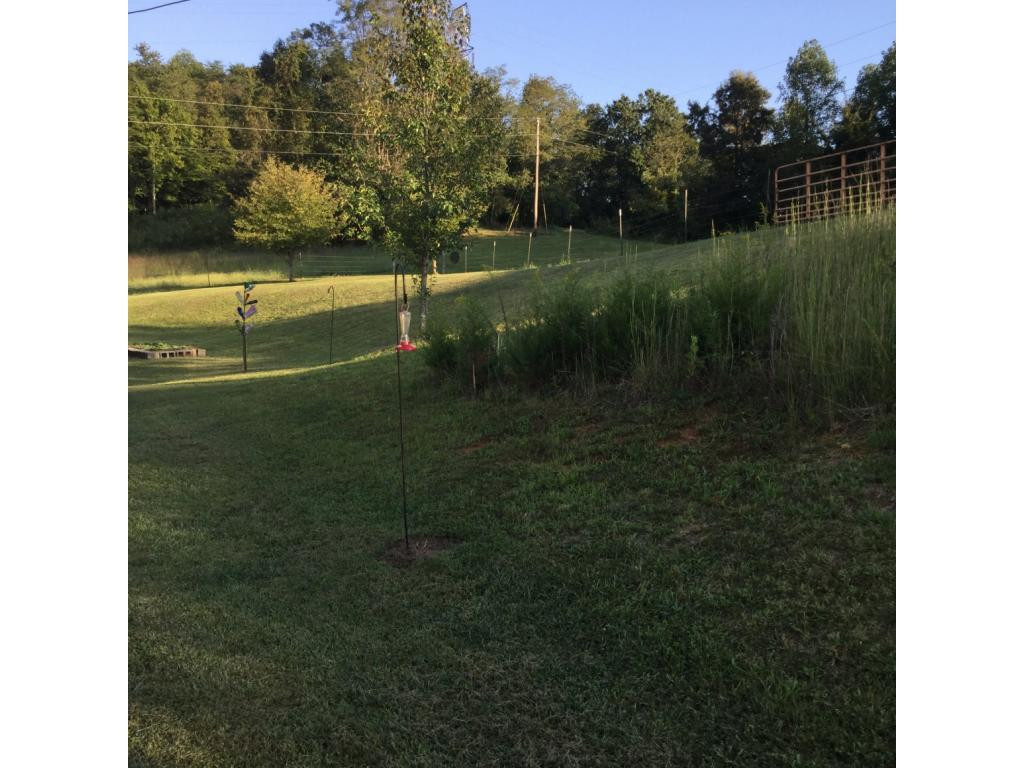 655 Poplar Springs Road Greeneville, TN 37743 - Photo 10 of 35 Photo 10