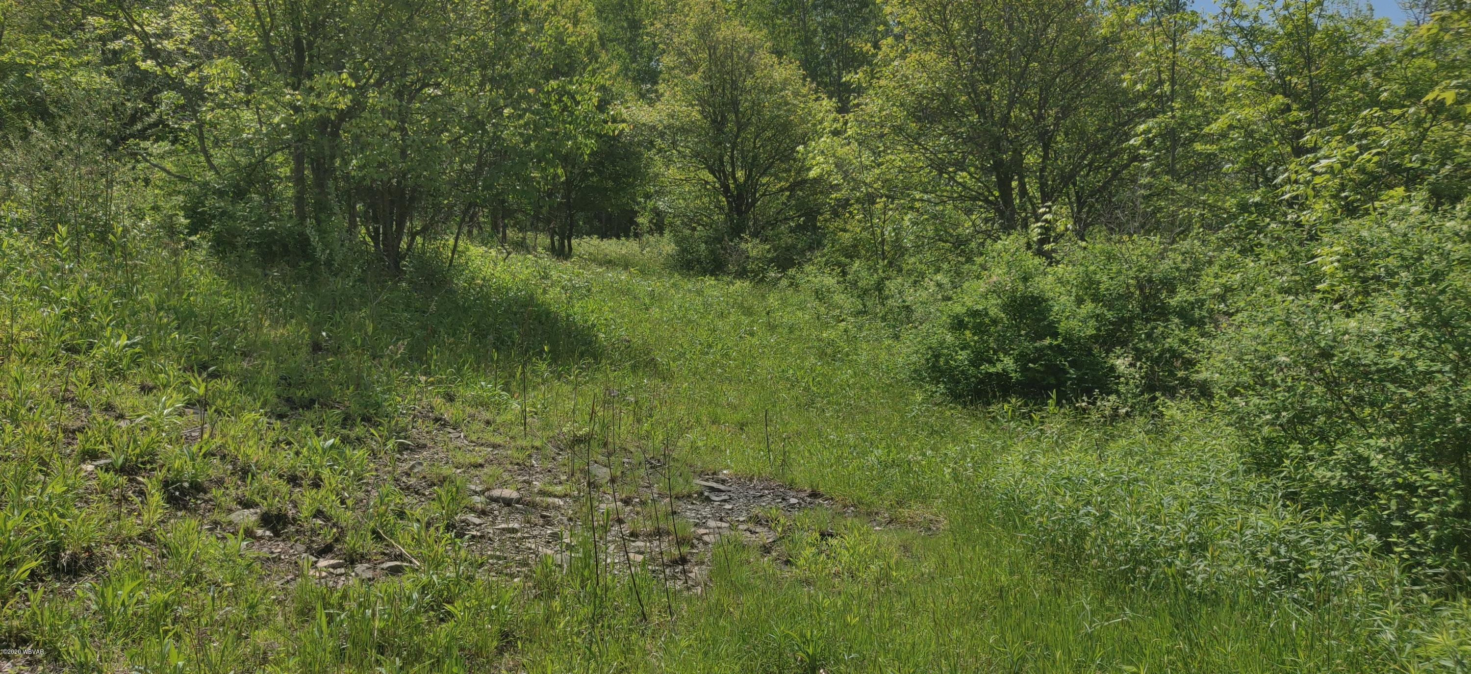 Rietter Hill Road Westfield, PA 16950 - Photo 22 of 24 Gallery Image 22