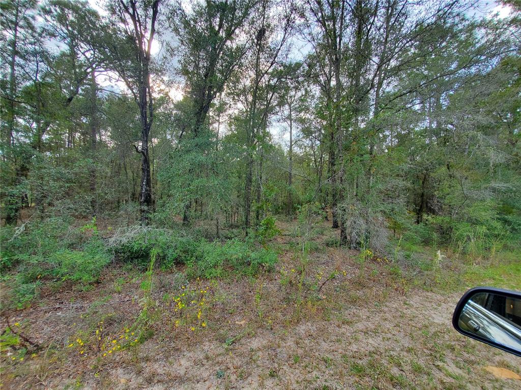 6 Southwest 52nd Lane Road Ocala, FL 34481 - Photo 1 of 1 Gallery Image 1