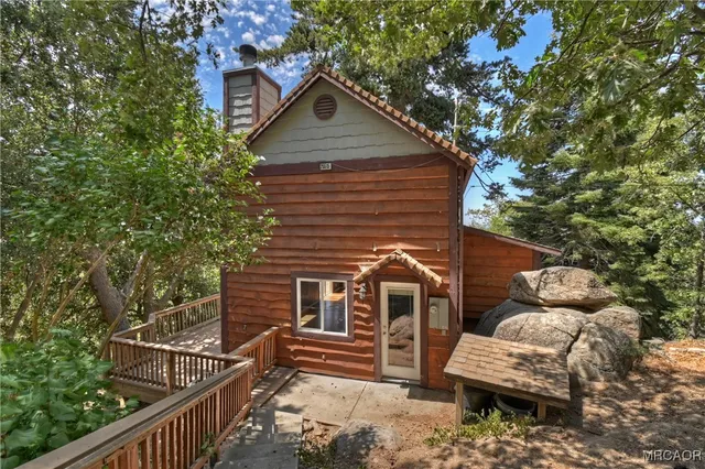 a view of a forest with a tree