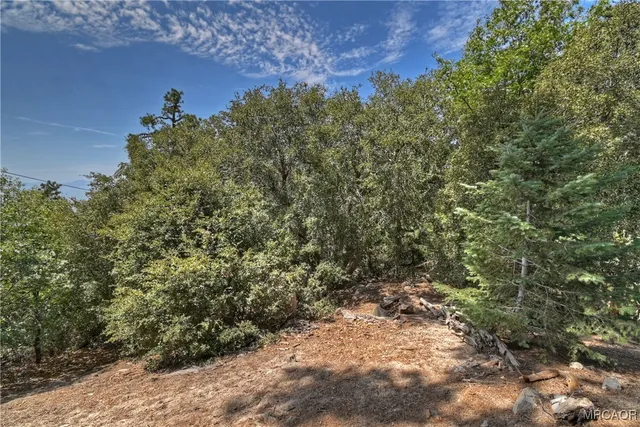 a view of a room with a tree and a yard