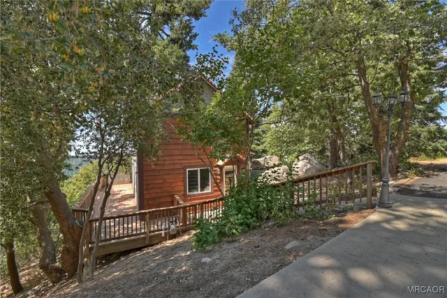 a dirt road with large trees