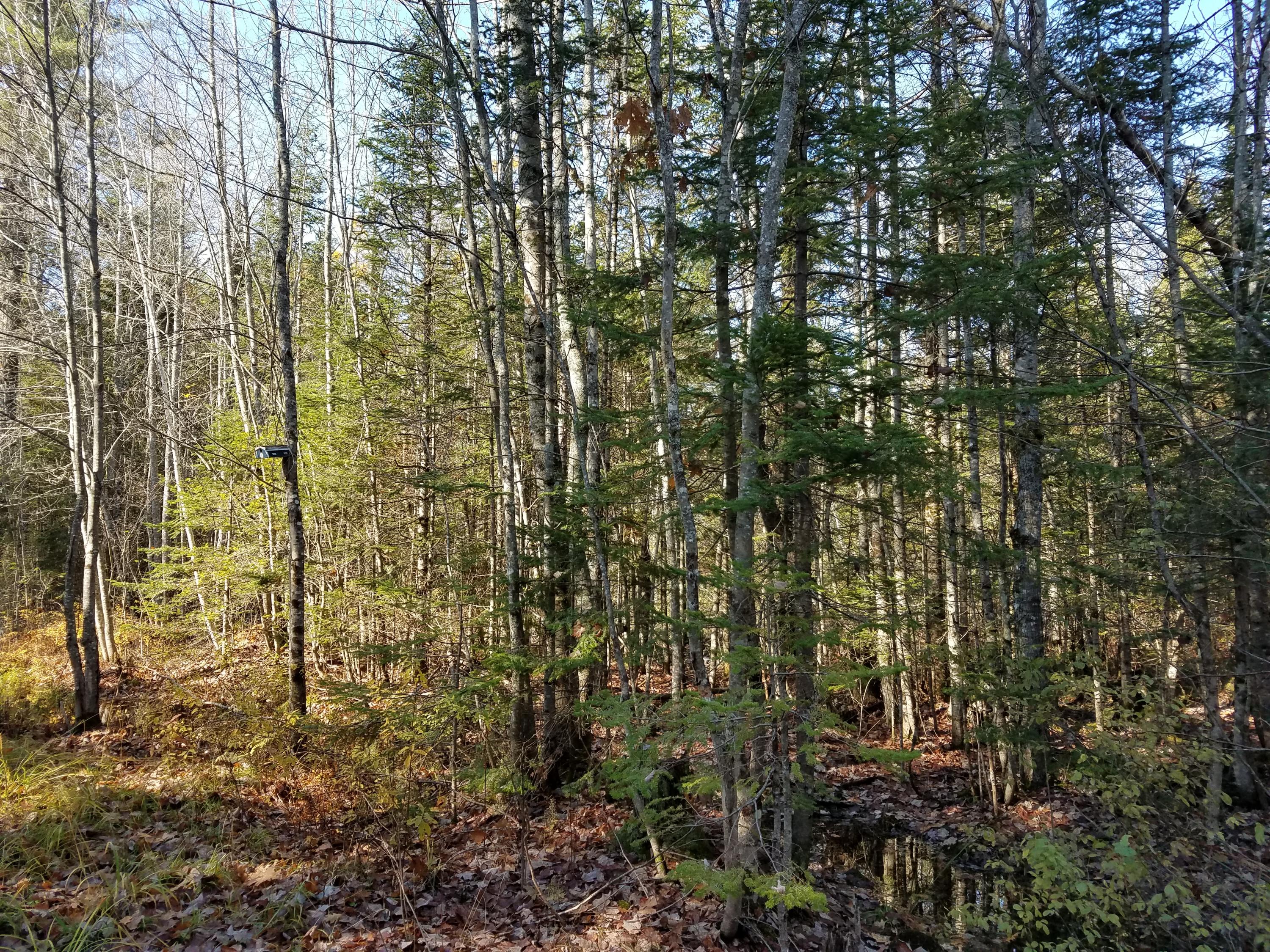 1636 Hudson Road Hudson, ME 04449 - Photo 29 of 32 20191024_132056