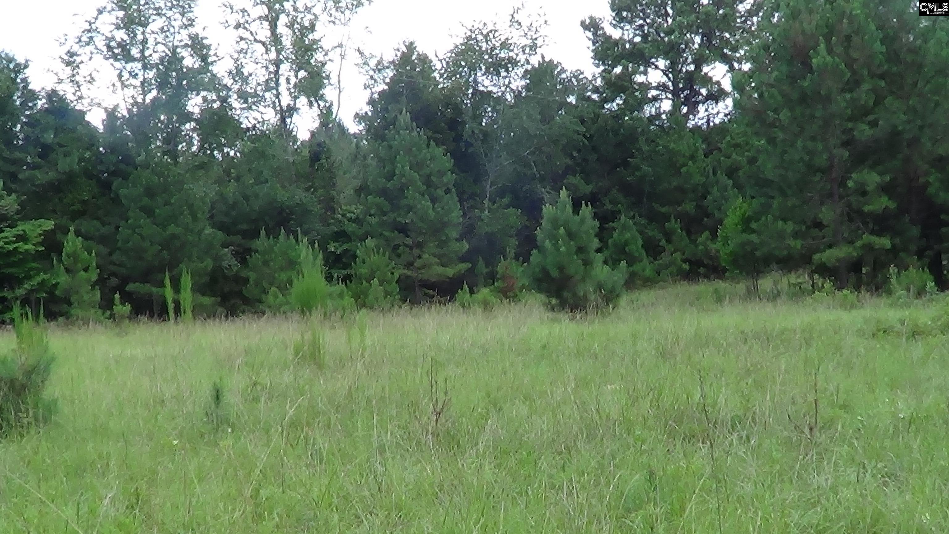 2815 Highway 1 Elgin, SC 29045 - Photo 7 of 17