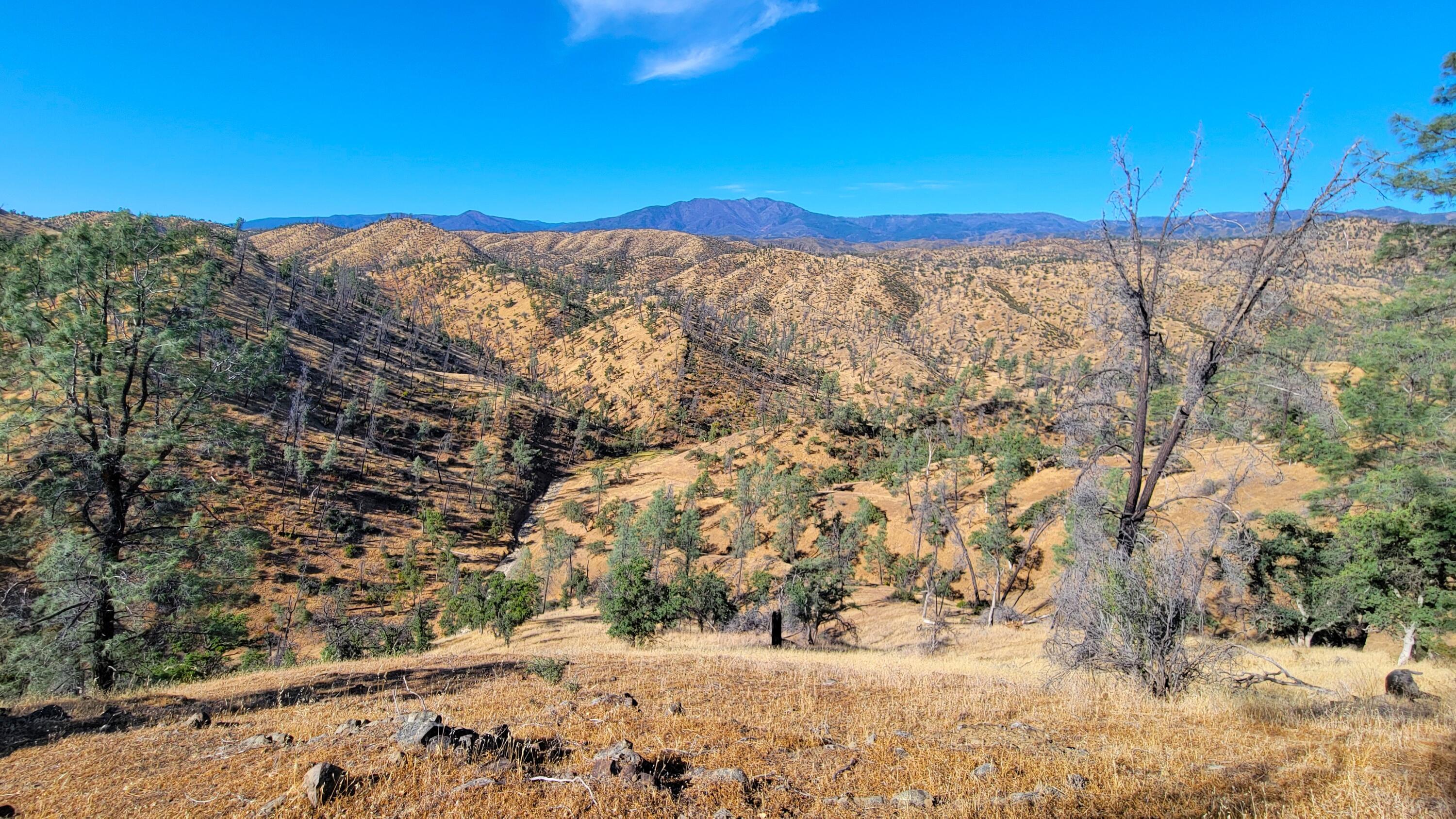 0 Vestal Road Platina, CA 96076 - Photo 1 of 59 a view of a dry yard covered with snow in the background