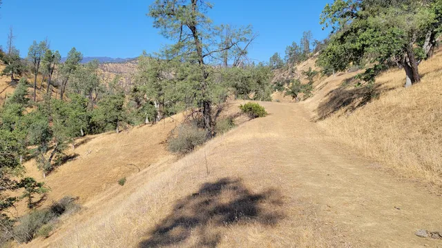 a view of a yard with a yard