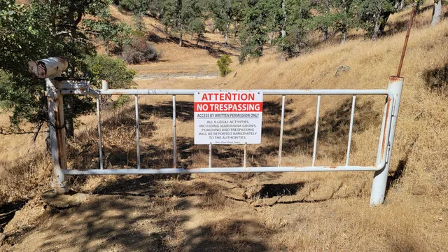 a front view of a house with a tree