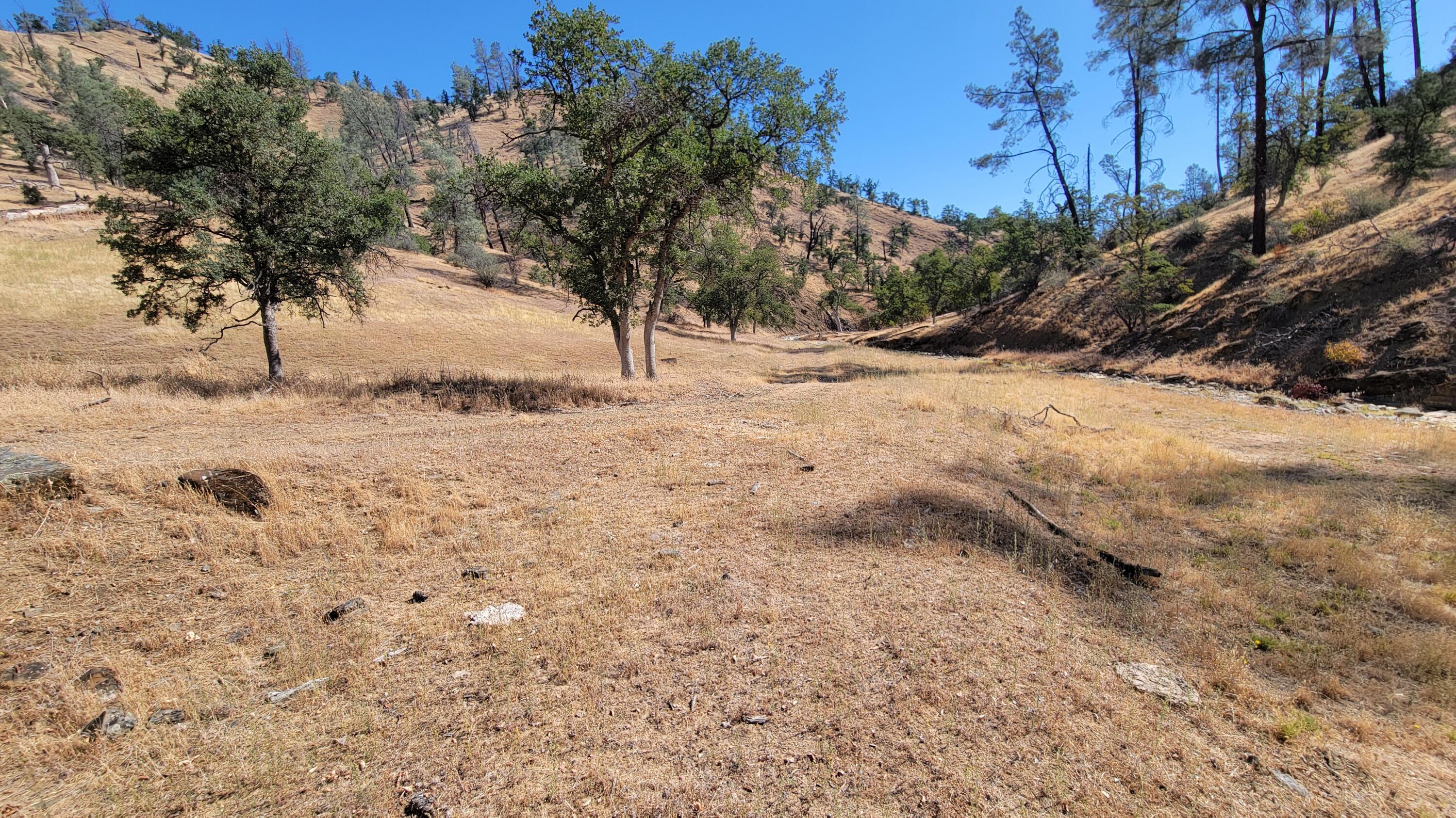 0 Vestal Road Platina, CA 96076 - Photo 17 of 59 a view of a yard covered with snow in the background