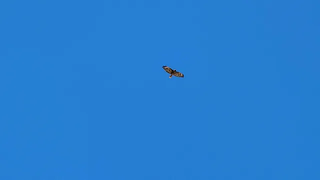 a view of a yard covered in snow