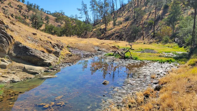 a view of a yard with wooden fence