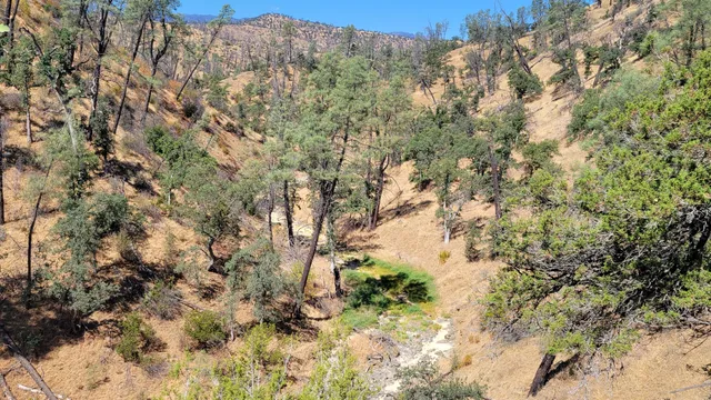 a view of an outdoor space with yard