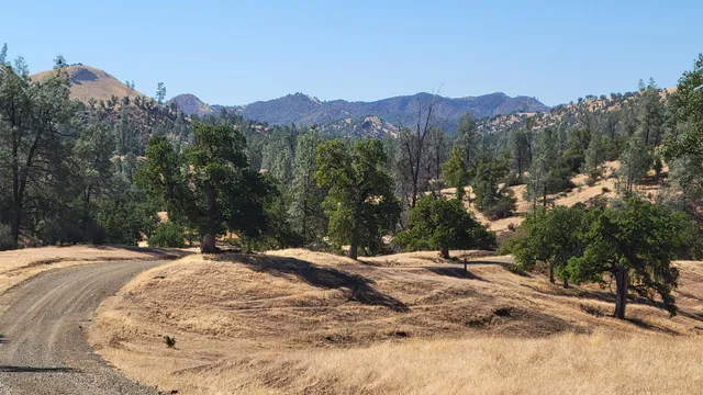 a view of outdoor space with trees