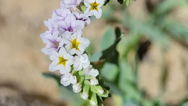 a view of road with side of trees