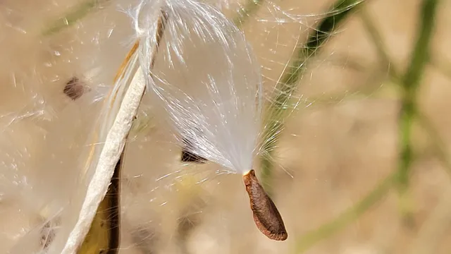 a sign broad on the side of the road