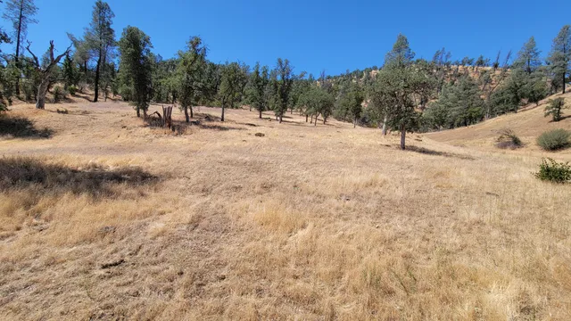 a backyard of a house