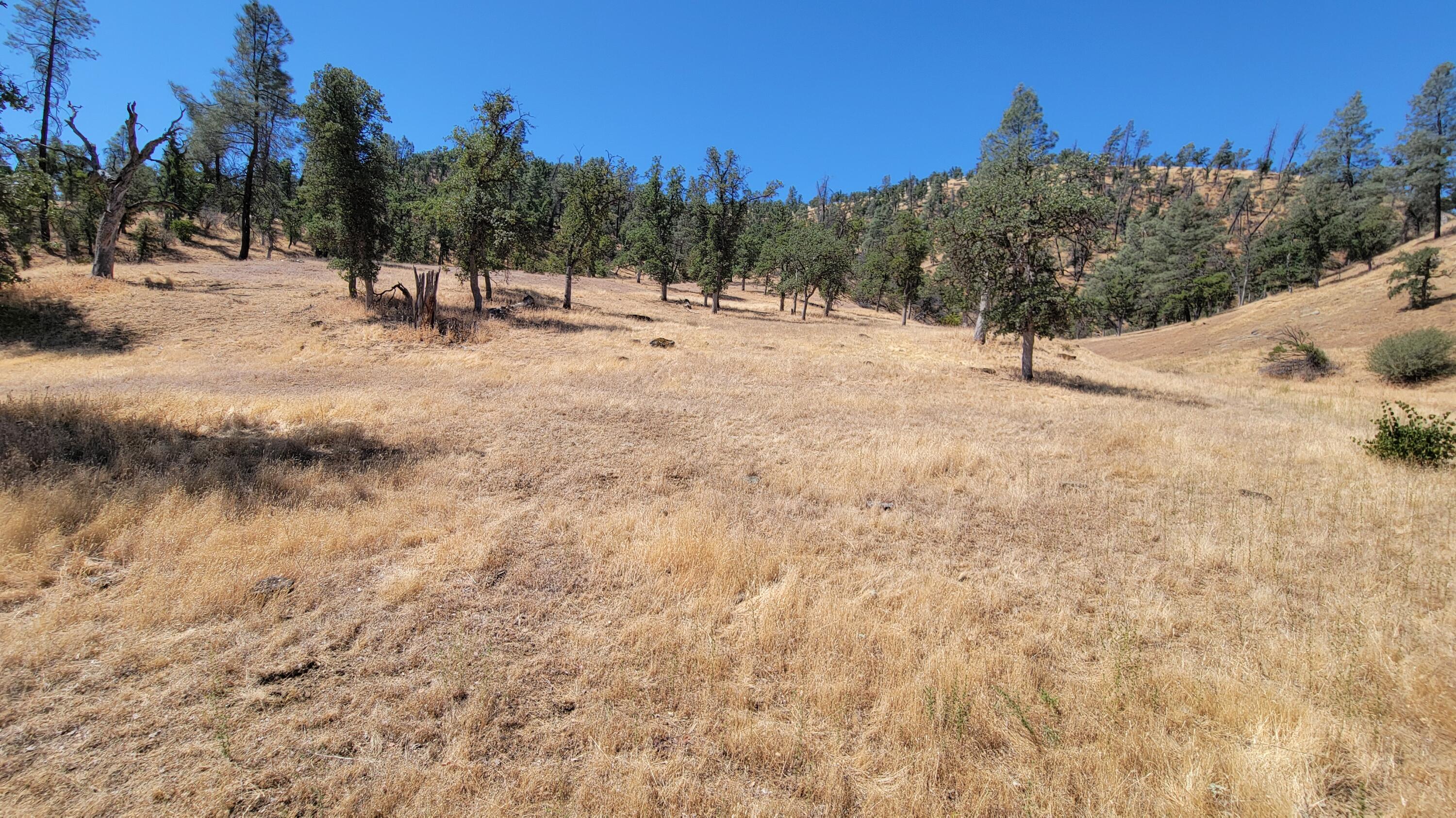 0 Vestal Road Platina, CA 96076 - Photo 39 of 59 a view of a snow with trees in the background