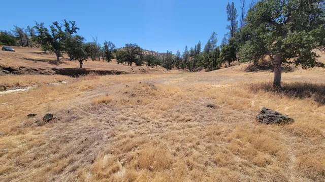 a view of a dry yard with a mountain in the background