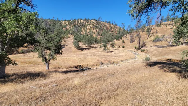 a view of a yard covered with snow in the background