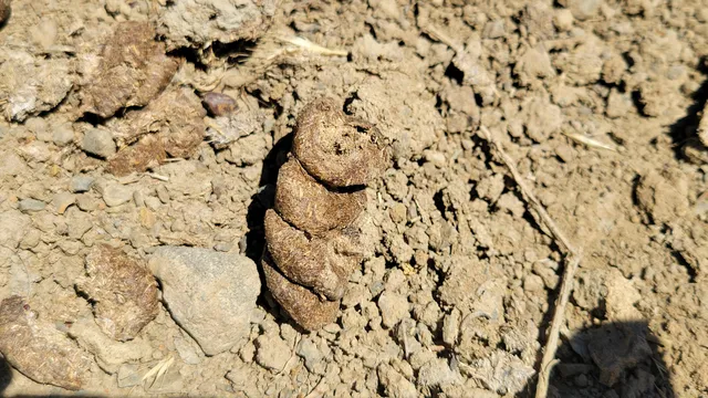 a bathroom with a window