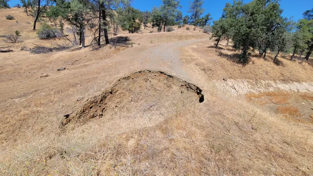 a view of a snow in between the yard