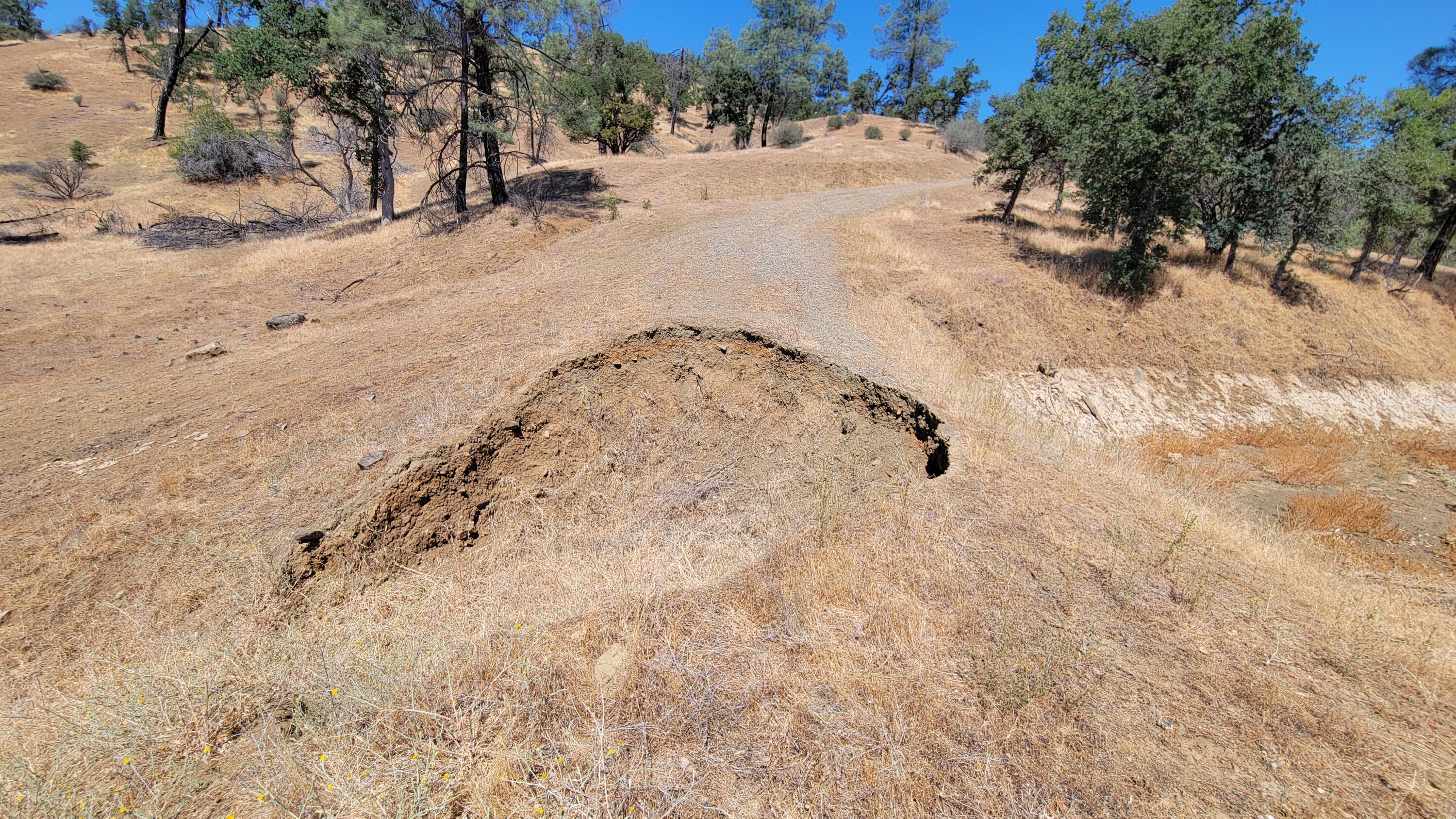 0 Vestal Road Platina, CA 96076 - Photo 45 of 59 a view of road with side of trees