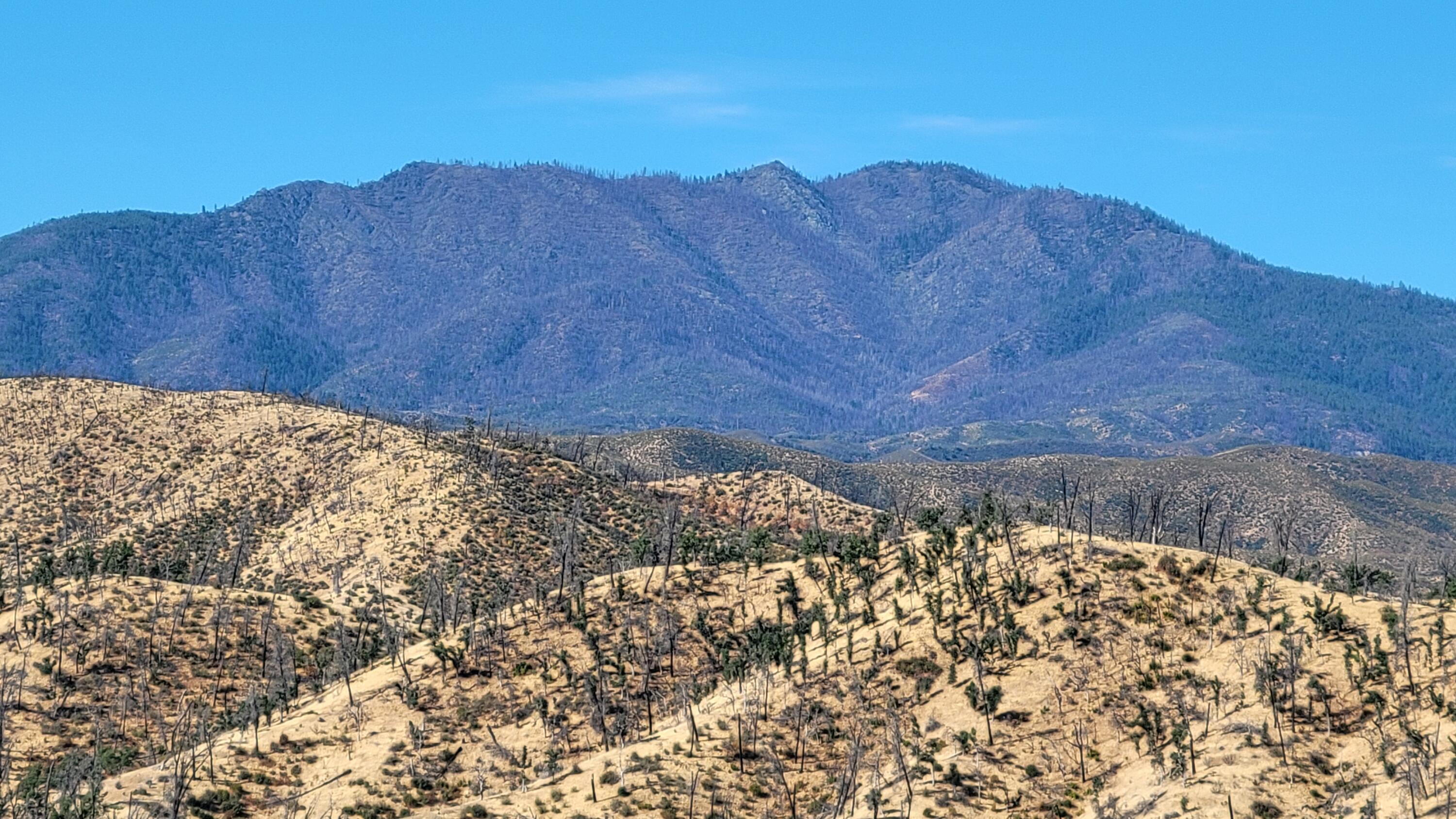 0 Vestal Road Platina, CA 96076 - Photo 48 of 59 a view of a dry yard with a mountain in the background