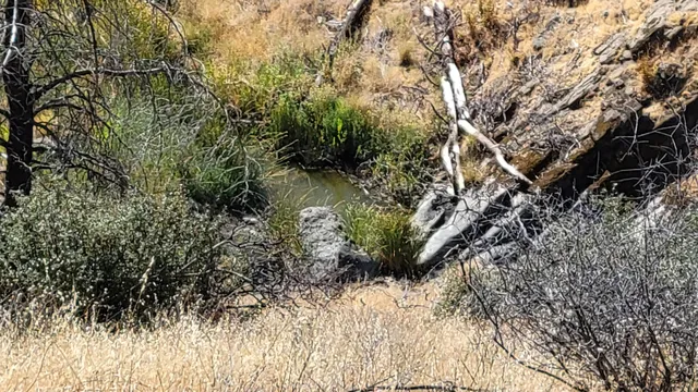 $146,000 | 0 Vestal Road, Platina, CA 96076