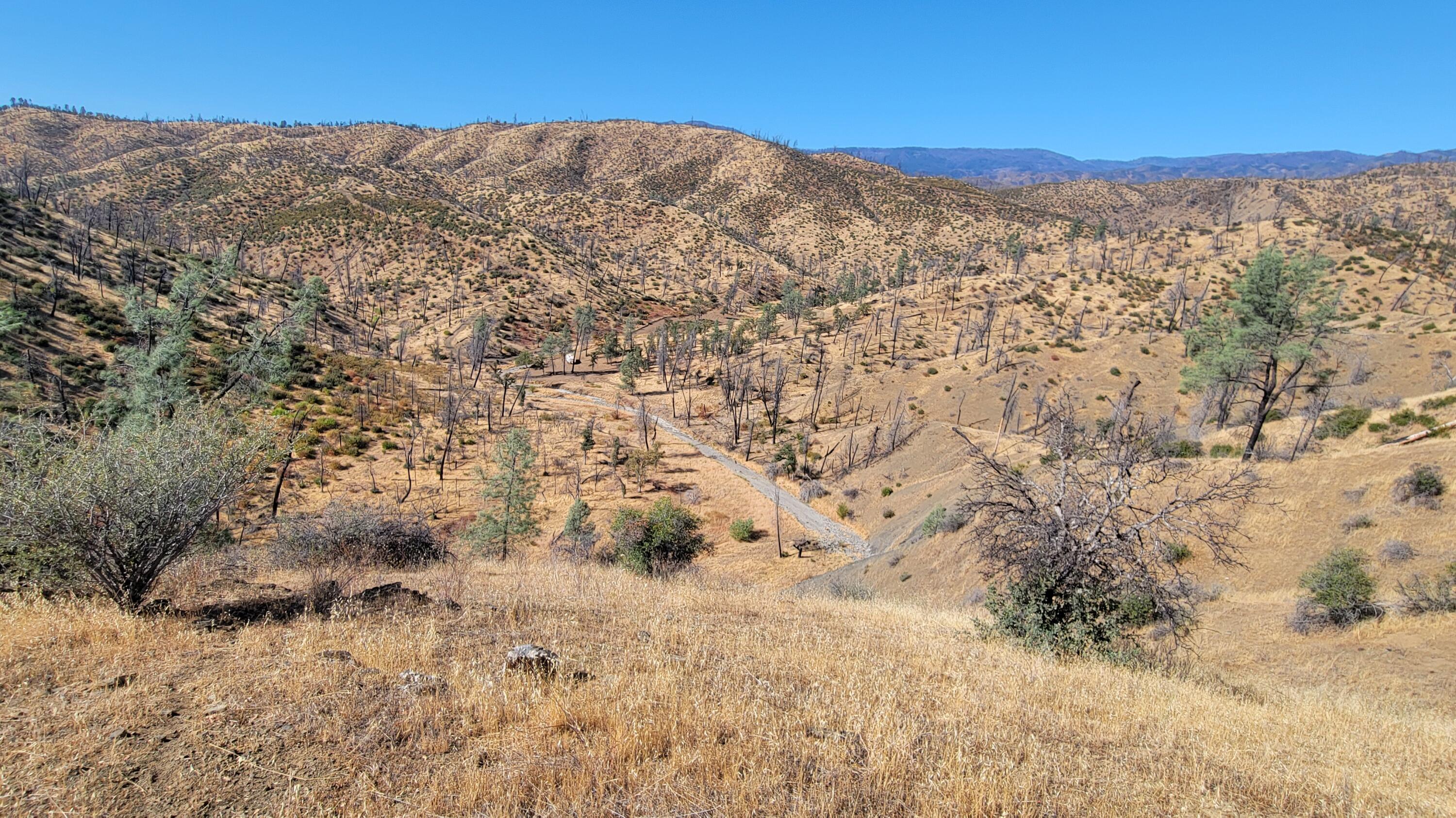 0 Vestal Road Platina, CA 96076 - Photo 54 of 59 a view of mountain view with mountains in the background