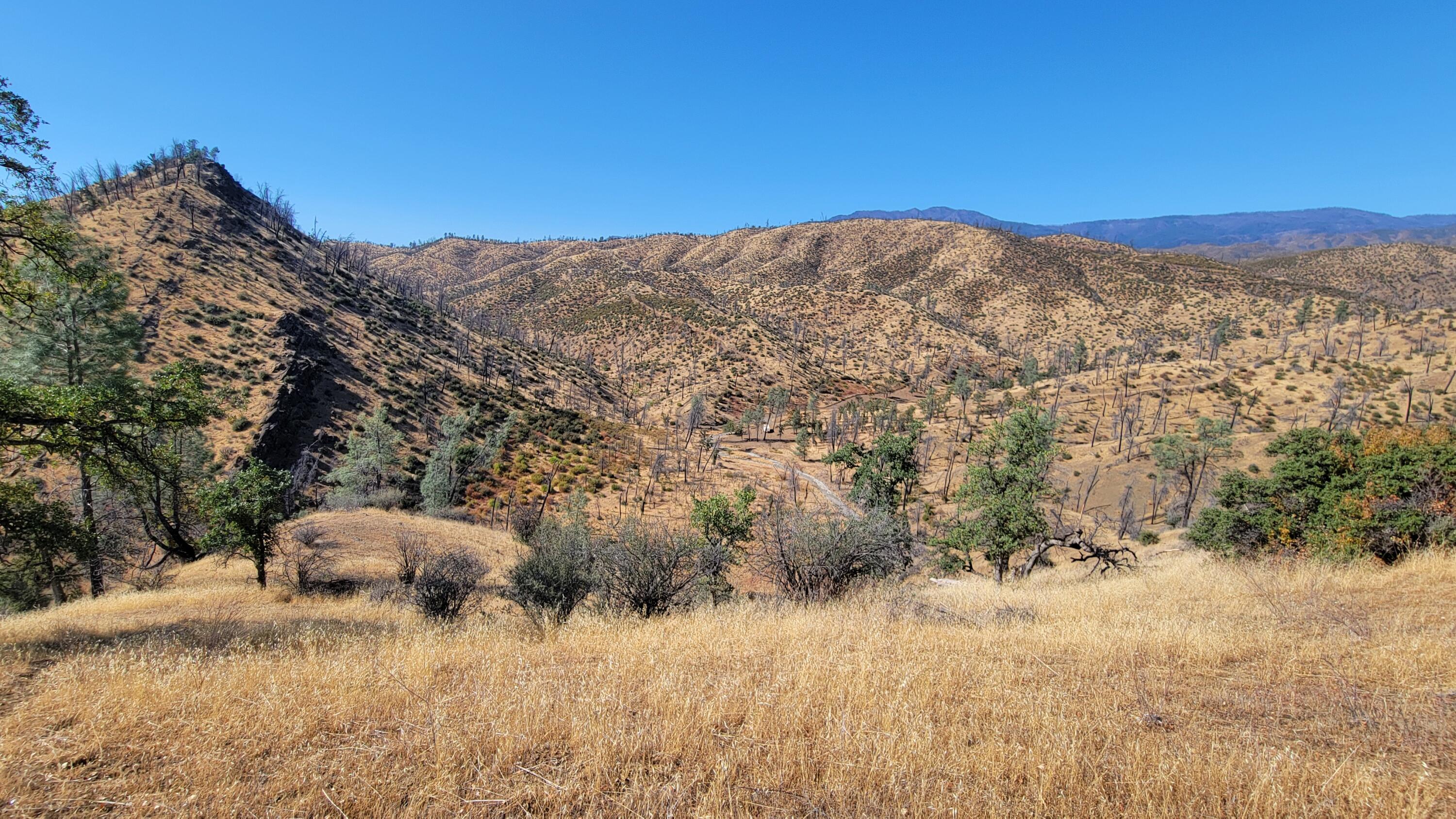0 Vestal Road Platina, CA 96076 - Photo 55 of 59 a view of mountain view with mountains in the background