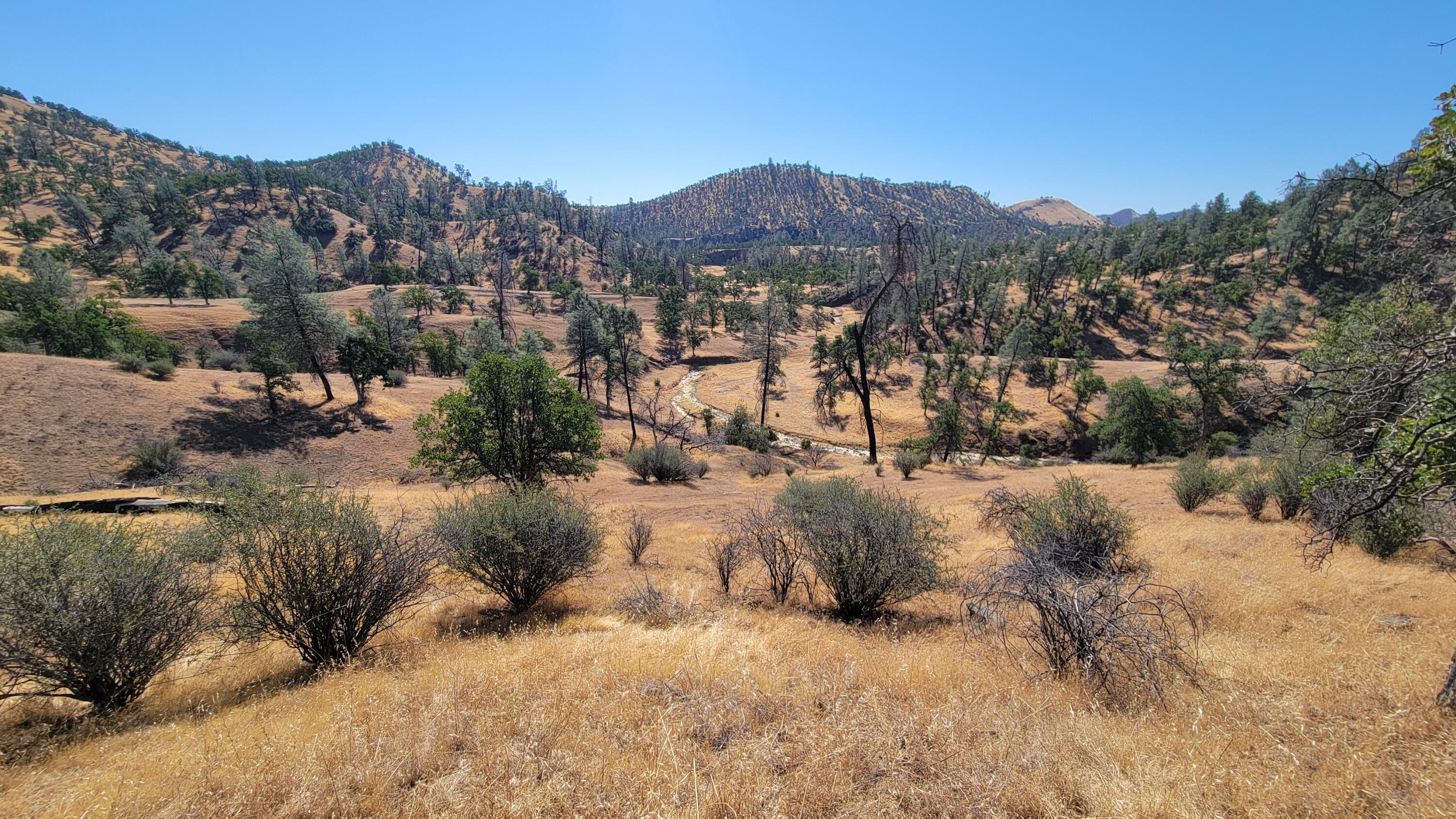 0 Vestal Road Platina, CA 96076 - Photo 9 of 59 a view of a dry yard with green space