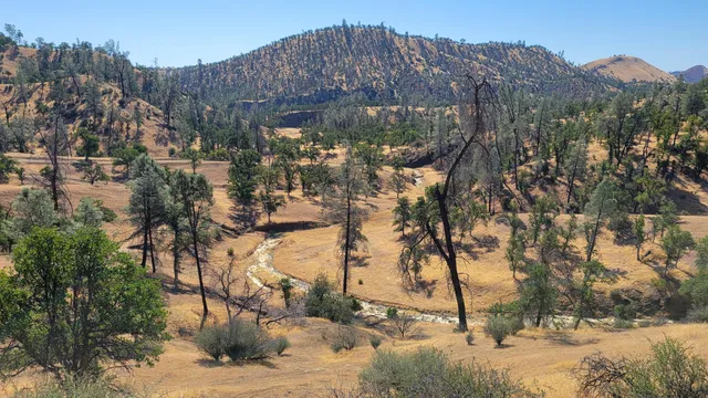 a view of a back yard of the house