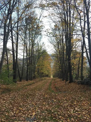 $539,000 | 171 Gary Place, Roxbury, NY 12421