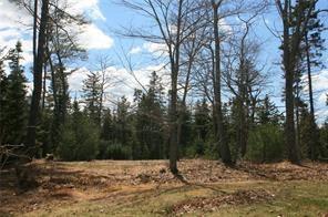 73 Bell Farm Road Harborside, ME 04642 - Photo 24 of 24 Photo